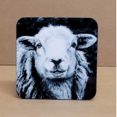 Jo McGrath Coaster HERDWICK EWE